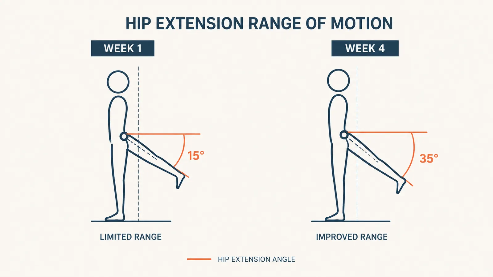 Side-by-side diagram showing hip range of motion before and after four weeks of resistance band mobility work